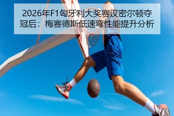 nian-xiong-ya-li-da-jiang-sai-han-mi-er-dun-duo-guan-hou-mei-sai-de-si-di-su-wan-xing-neng-ti-sheng-fen-xi-2-952.jpg